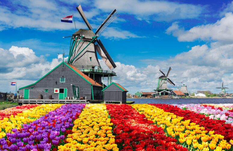 Elit Hollanda Amsterdam Turu THY ile 4 Gece Ekstra Turlar Dahil Ramazan Bayramı Dönemi